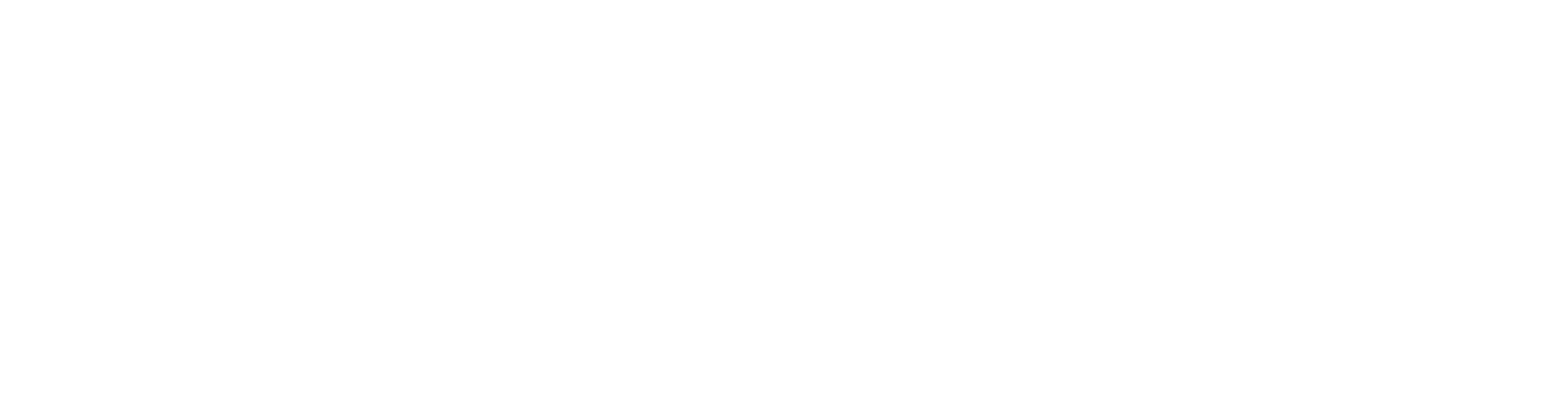 Vertex Engineering Systems